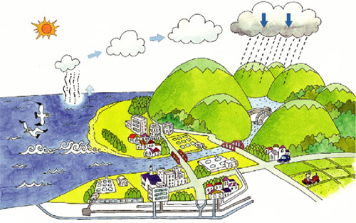水の循環と再生のイメージ図