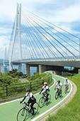 サイクリング/多々羅大橋の写真
