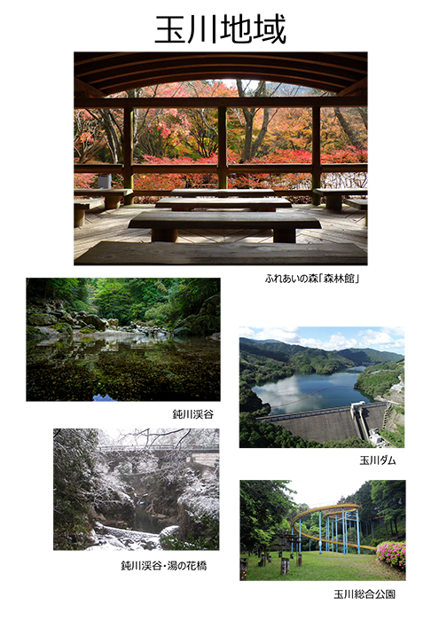 玉川地域の写真イメージ