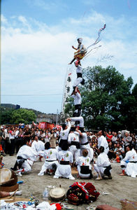 春の大祭（波方地域）の写真