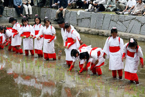 大山祇神社御田植祭（一人角力）