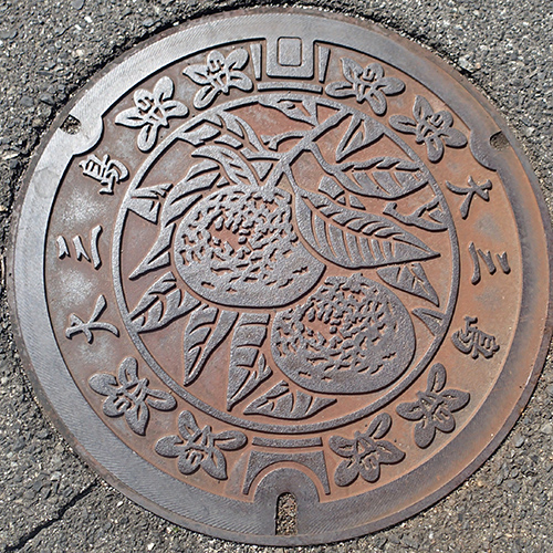 大三島地区1