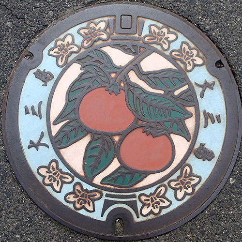 大三島地区2