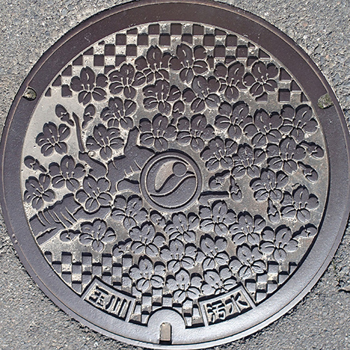 玉川地区1