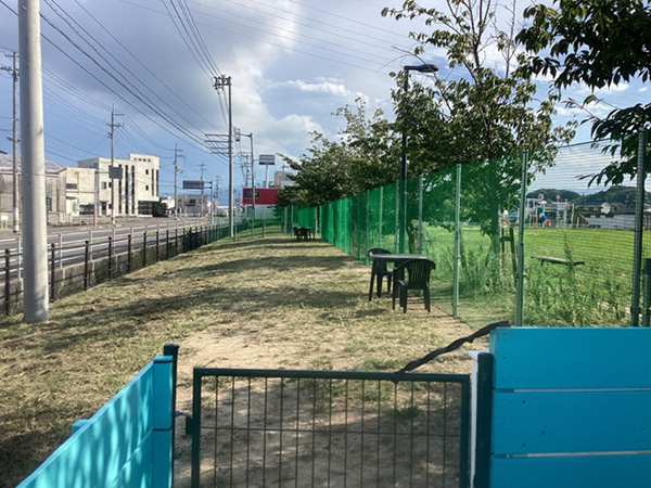 大新田公園の写真