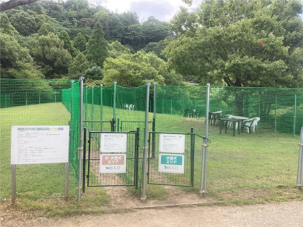 桜井総合公園の写真