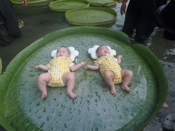 オオオニバス試乗体験2[2023年8月29日]