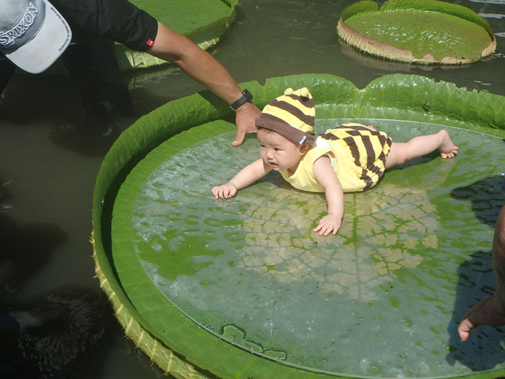 オオオニバス試乗体験3[2023年8月29日]