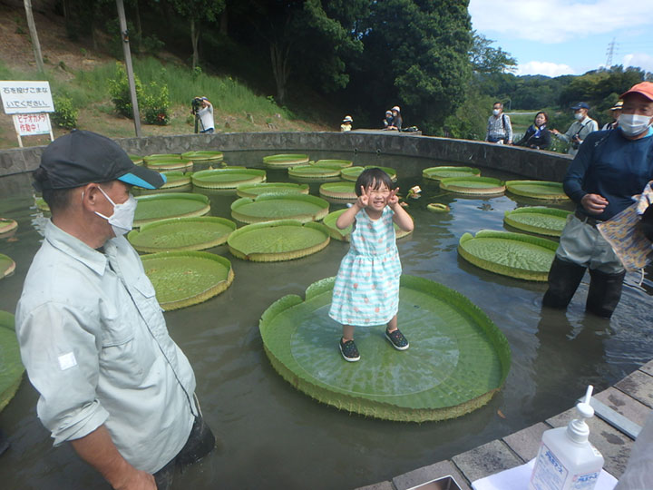 オオオニバス試乗体験4[2023年8月29日]