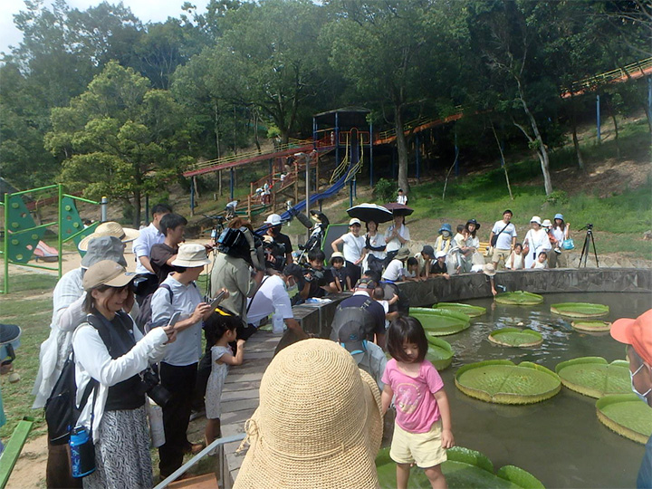 オオオニバス試乗体験5[2023年8月29日]