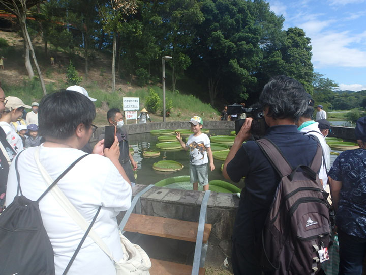 オオオニバス試乗体験6[2023年8月29日]