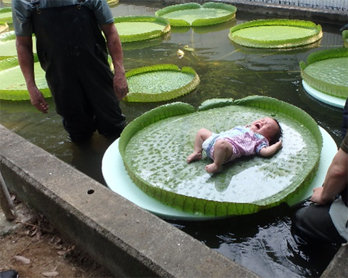 オオオニバス試乗体験3[2025年8月26日]