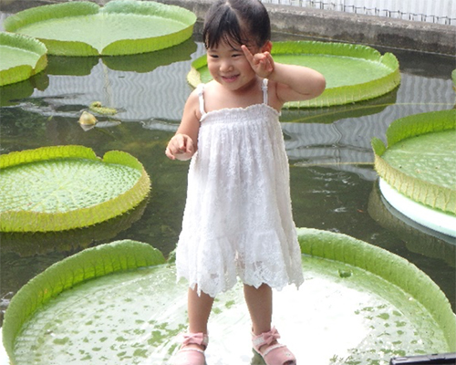 オオオニバス試乗体験4[2025年8月26日]