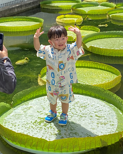 オオオニバス試乗体験3[2026年8月26日]