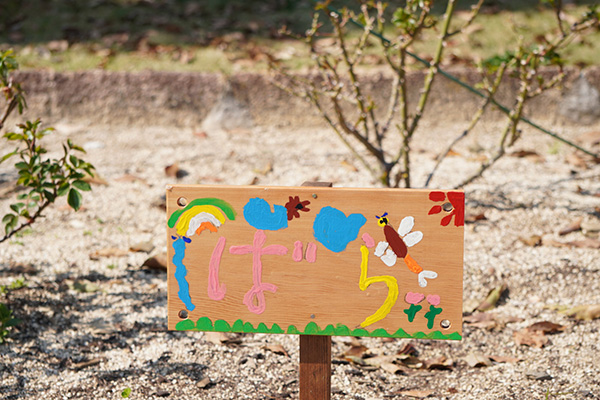 開花状況の写真2