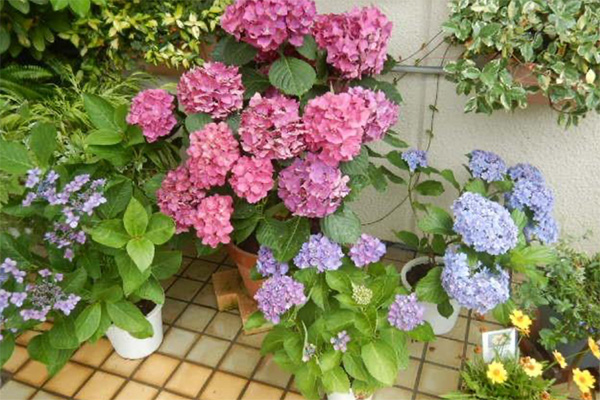 写真2