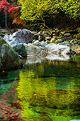 鈍川渓谷/紅葉の写真