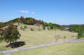 藤山健康文化公園/芝生広場の写真