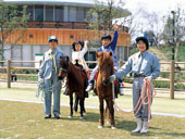 野間馬/乗馬風景の写真