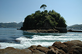 能島周辺の潮流①の写真