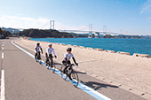 サイクリング/大島の写真