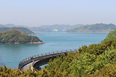 サイクリング/来島海峡大橋ループ3の写真