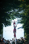 継獅子/大井八幡大神社の写真