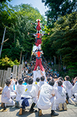 継獅子/大井八幡大神社の写真