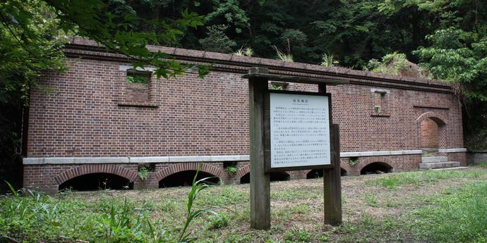 小島 写真2