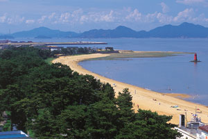 桜井海岸の写真