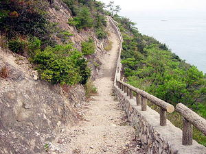 大島自然研究路の写真
