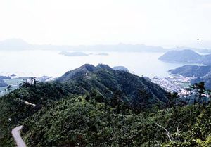 鷲ケ頭山自然研究路の写真