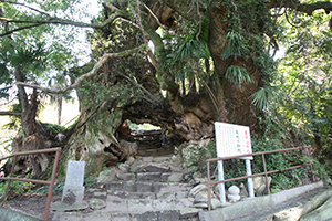 生樹の御門の写真