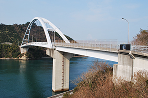 岡村大橋の写真