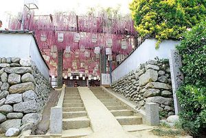 大熊寺のノダフジの写真