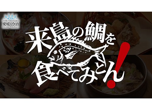 来島の鯛を食べてみとん！の写真