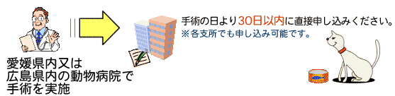 愛媛県内または広島県内の動物病院で手術を実施し、手術の日より30日以内に今治市環境政策課へ直接申込ください。各支所でも申込可能です。