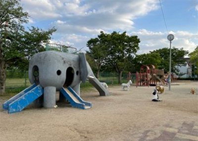 国際児童年記念公園の写真2