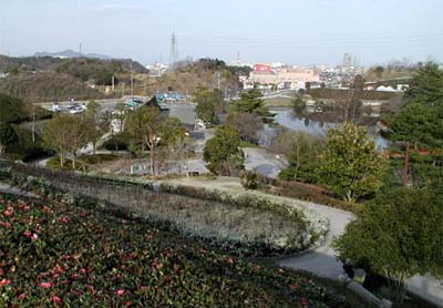 市制50年記念公園の写真