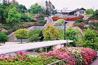 散策路・緑の展望台