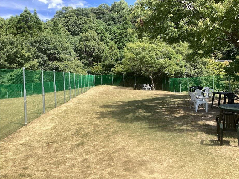 桜井総合公園の写真