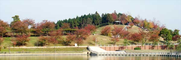 藤山健康文化公園の写真1