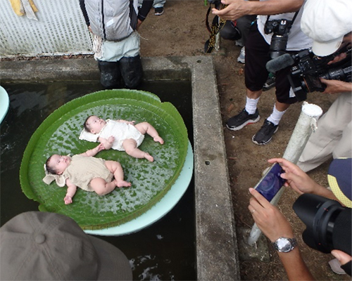 オオオニバス試乗体験2[2025年8月26日]
