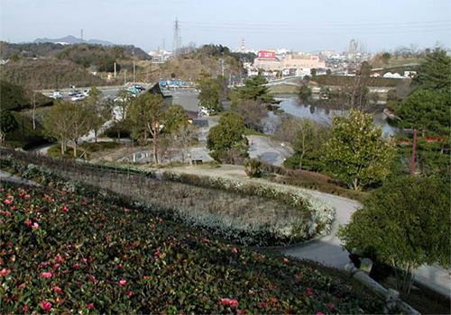 市制50年記念公園　市民の森・フラワーパークの写真