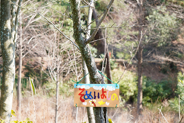 開花状況の写真1