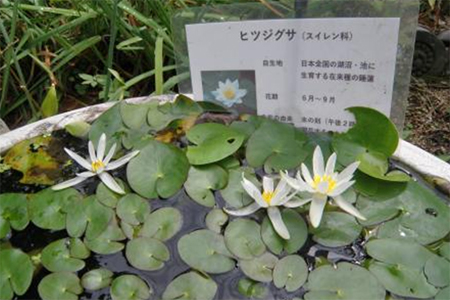 写真13