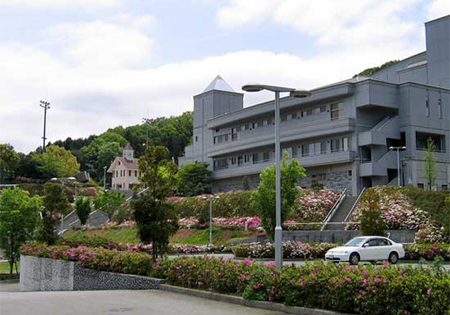 玉川総合公園の写真