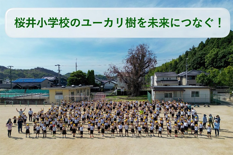 桜井小学校の写真