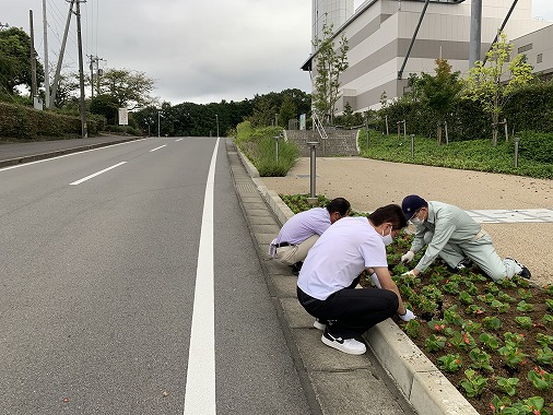 バリクリーン花植え（ベゴニア）の写真 1