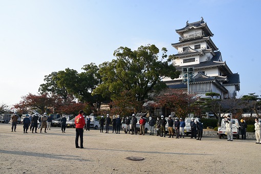 今治造園建設業協会による松の剪定作業（吹揚公園）の写真 1